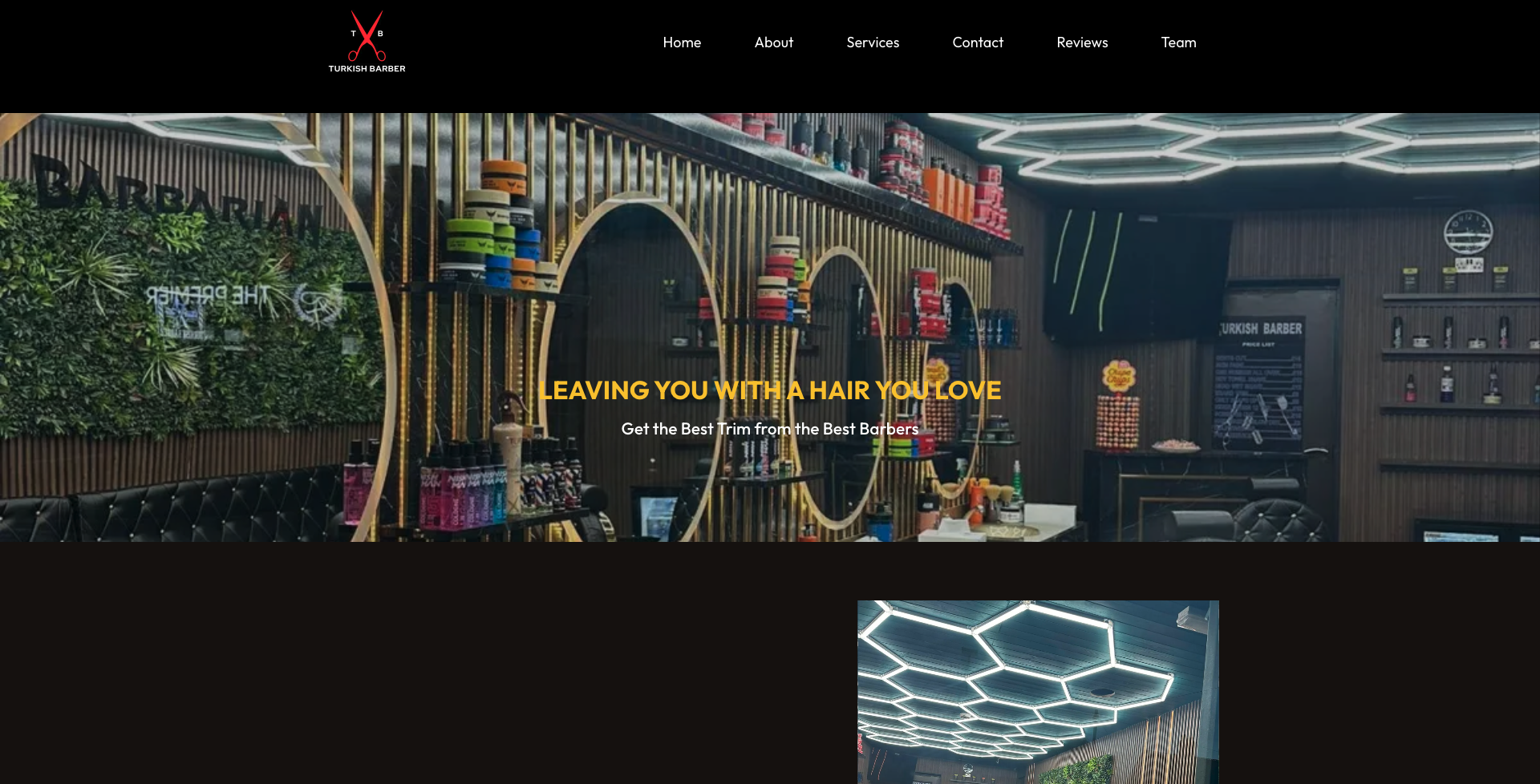 Website Preview